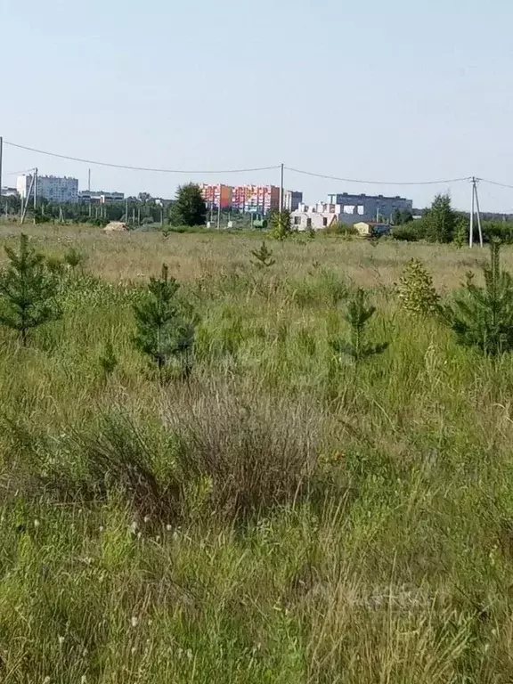 Участок в Курганская область, Курган ул. Бахчисарайская (18.0 сот.) - Фото 1