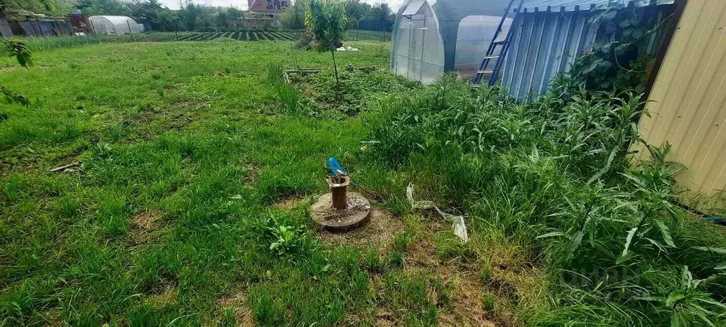 Участок в Краснодарский край, Динской район, Нововеличковское с/пос, ... - Фото 1