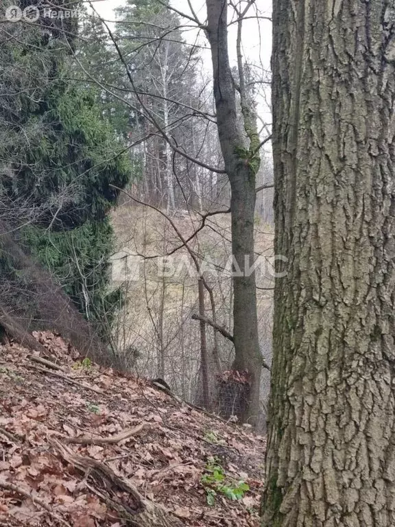 Участок в Хотьково, улица Щорса, 2Б (12.5 м) - Фото 1