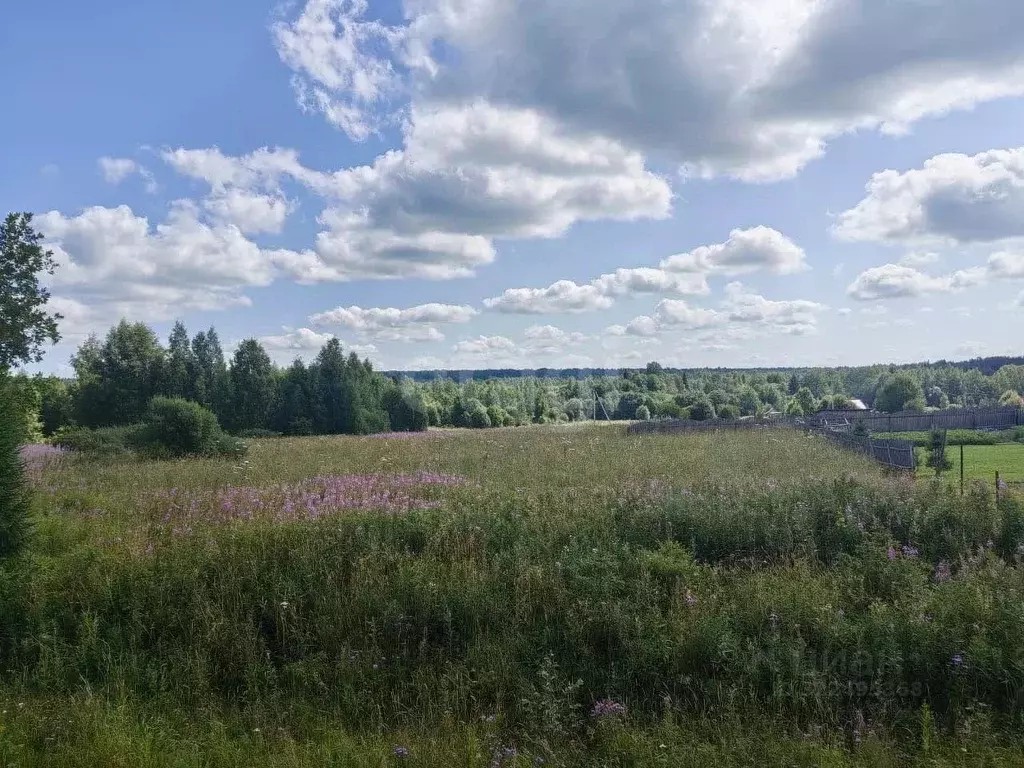 Участок в Вологодская область, Дикая ж/д_ст  (16.0 сот.) - Фото 1