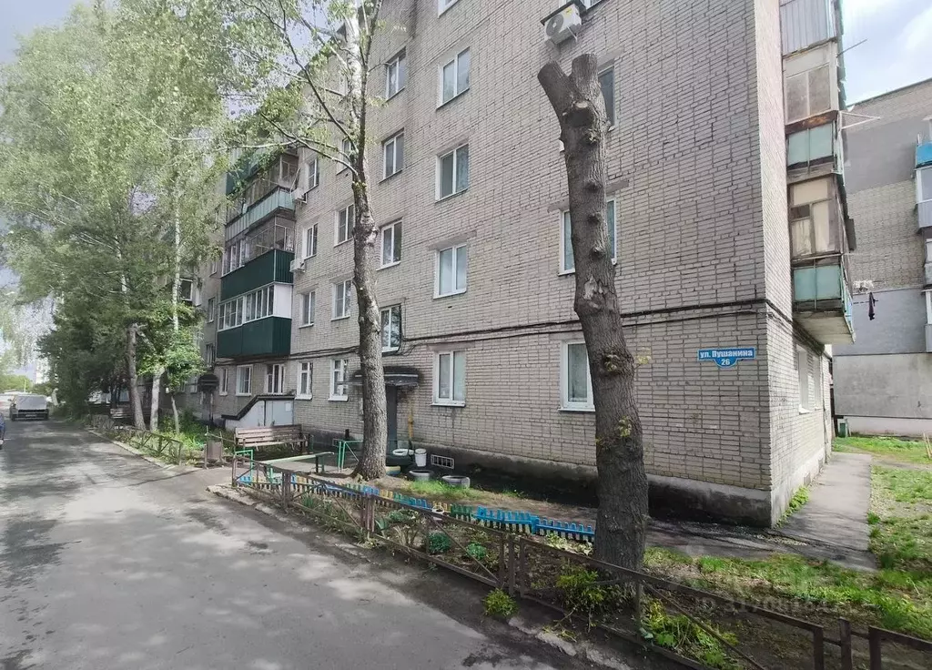 1-к кв. Пензенская область, Пенза ул. Пушанина, 26 (30.4 м) - Фото 0