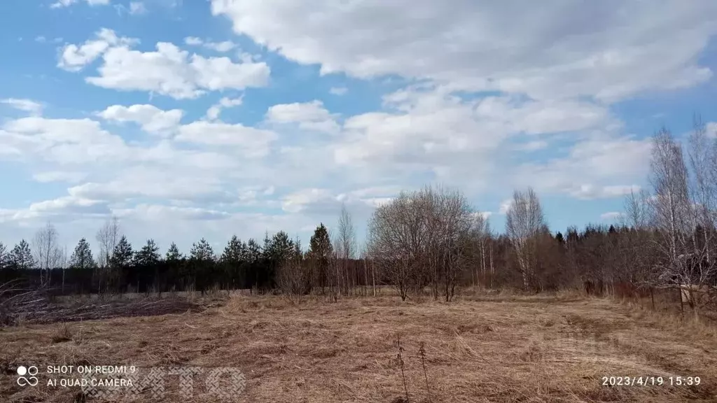 Участок в Вологодская область, Череповецкий район, Югское ... - Фото 1