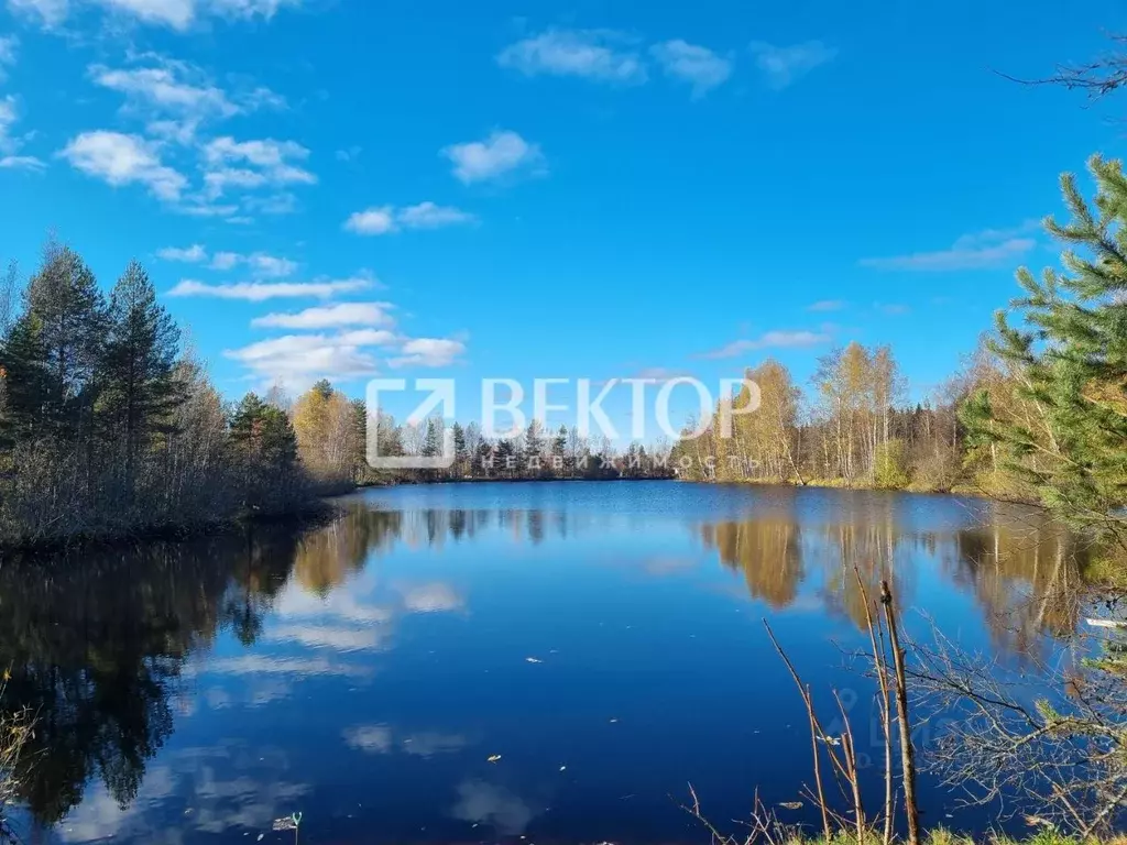 Дом в Ивановская область, Ивановский район, Беляницкое с/пос, ... - Фото 0