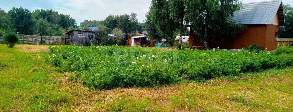 Участок в Новосибирская область, Бердск Марьин Лог СНТ, ул. 38-я, 10 ... - Фото 1