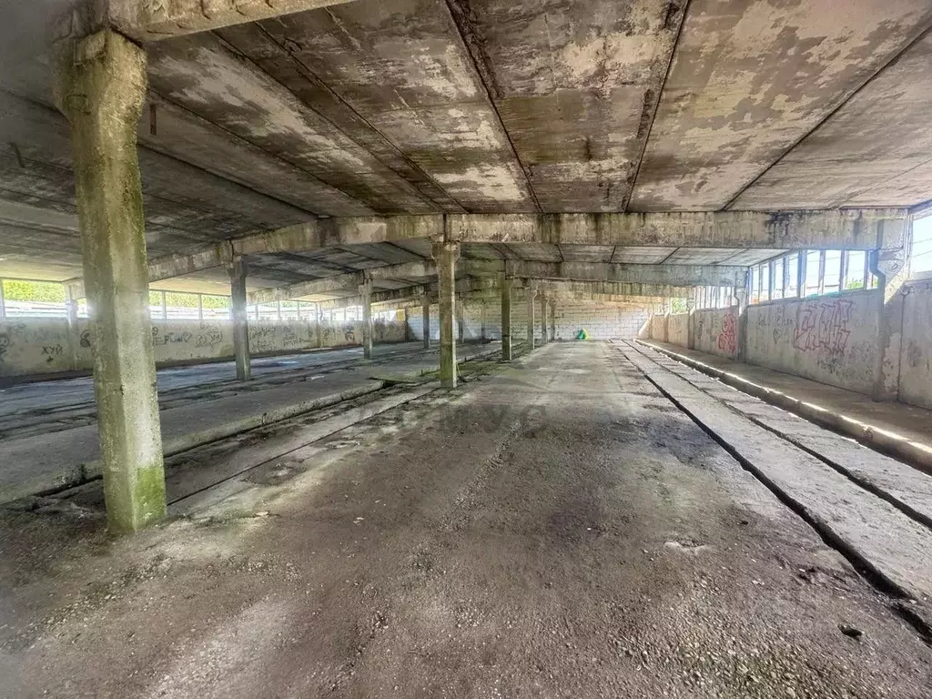 Склад в Московская область, Раменский муниципальный округ, Дубки ДНП  ... - Фото 2