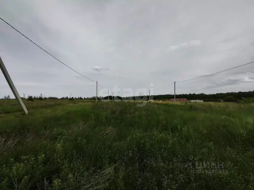 Участок в Белгородская область, Белгородский район, Дубовское с/пос, ... - Фото 0