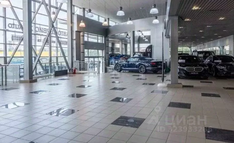 Помещение свободного назначения в Санкт-Петербург Богатырский просп., ... - Фото 1