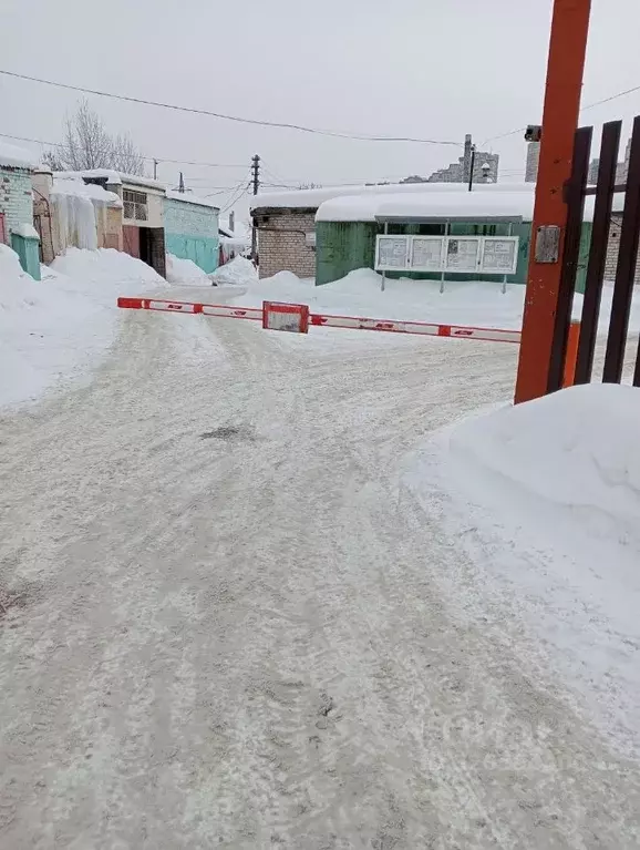 Гараж в Московская область, Раменское ул. Левашова, 22 (20 м) - Фото 2