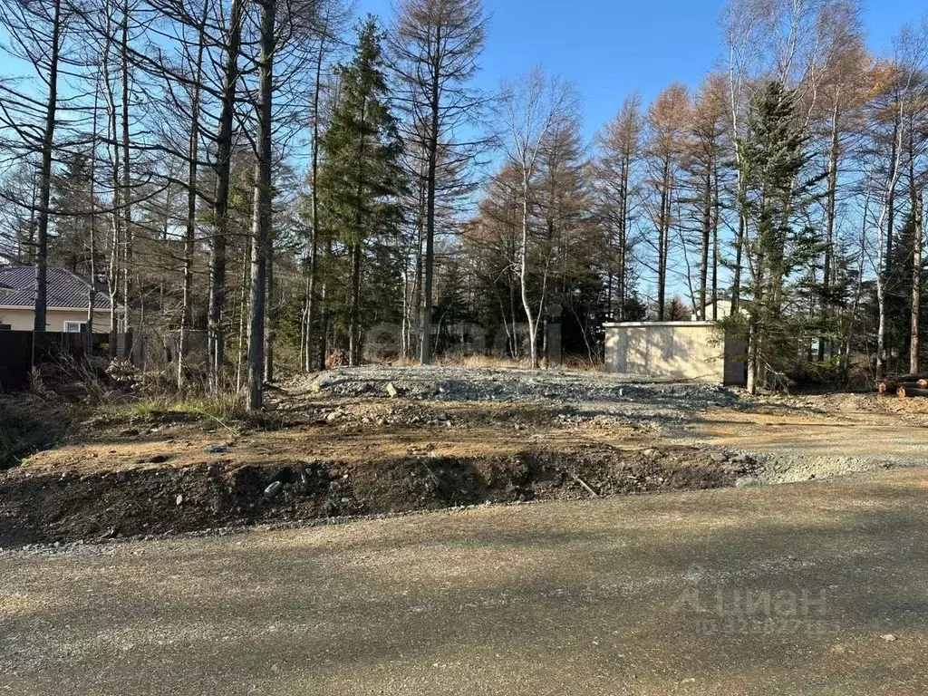 Участок в Сахалинская область, Южно-Сахалинск Ново-Александровск п/р, ... - Фото 1