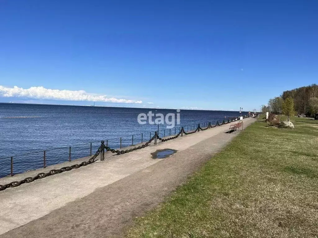 Участок в Санкт-Петербург, Санкт-Петербург, Петергоф ул. Пионерская, ... - Фото 1