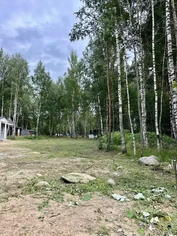 Участок в Ленинградская область, Приозерский район, Красноозерное ... - Фото 1