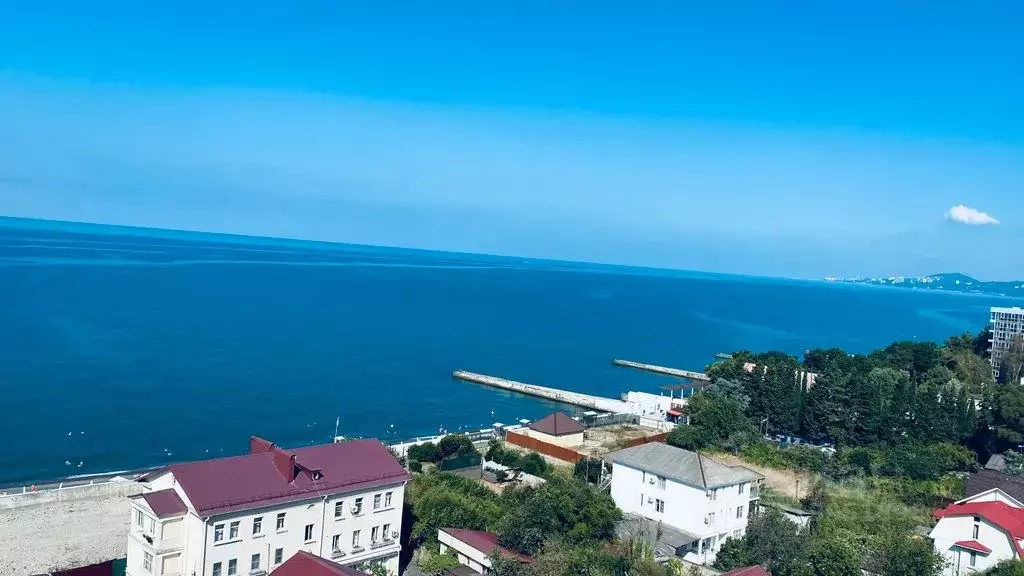 1-к кв. Краснодарский край, Сочи Адлер жилрайон, ул. Белорусская, 8 ... - Фото 1