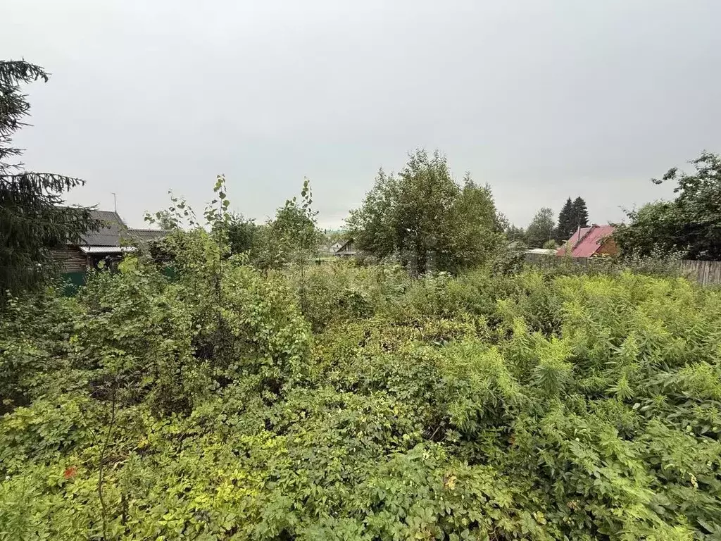 Участок в Тверская область, Лихославльский муниципальный округ, д. ... - Фото 1