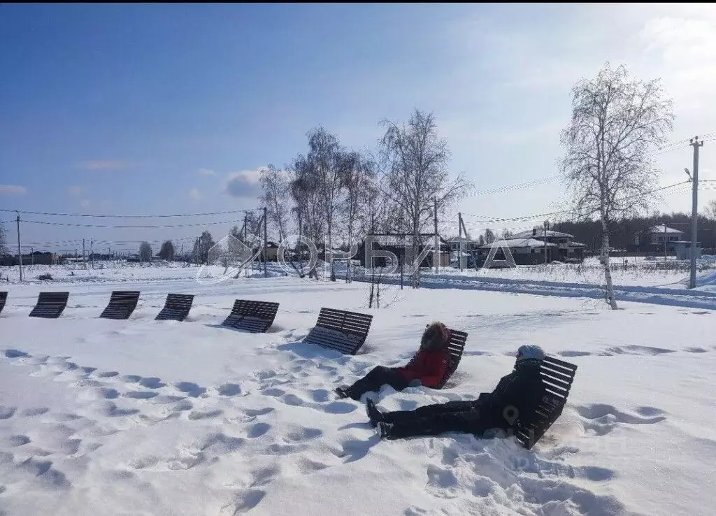 Участок в Тюменская область, Тюменский район, пос. Новотарманский ... - Фото 0