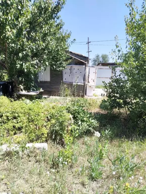 Дом в Волгоградская область, Волжский Радуга СНТ, ул. Овражная (80 м) - Фото 2