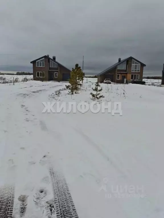 Участок в Новосибирская область, Мошковский район, пос. Октябрьский ... - Фото 2