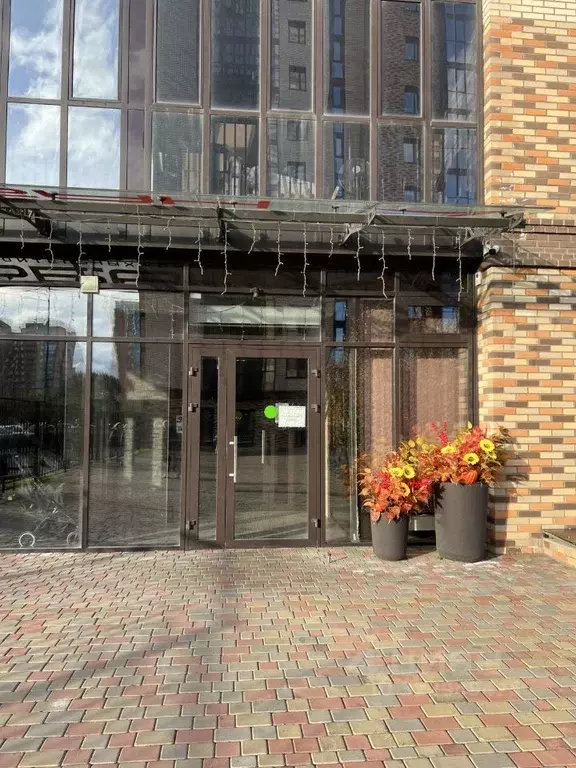 Студия Красноярский край, Красноярск ул. Мужества, 10В (28.0 м) - Фото 1