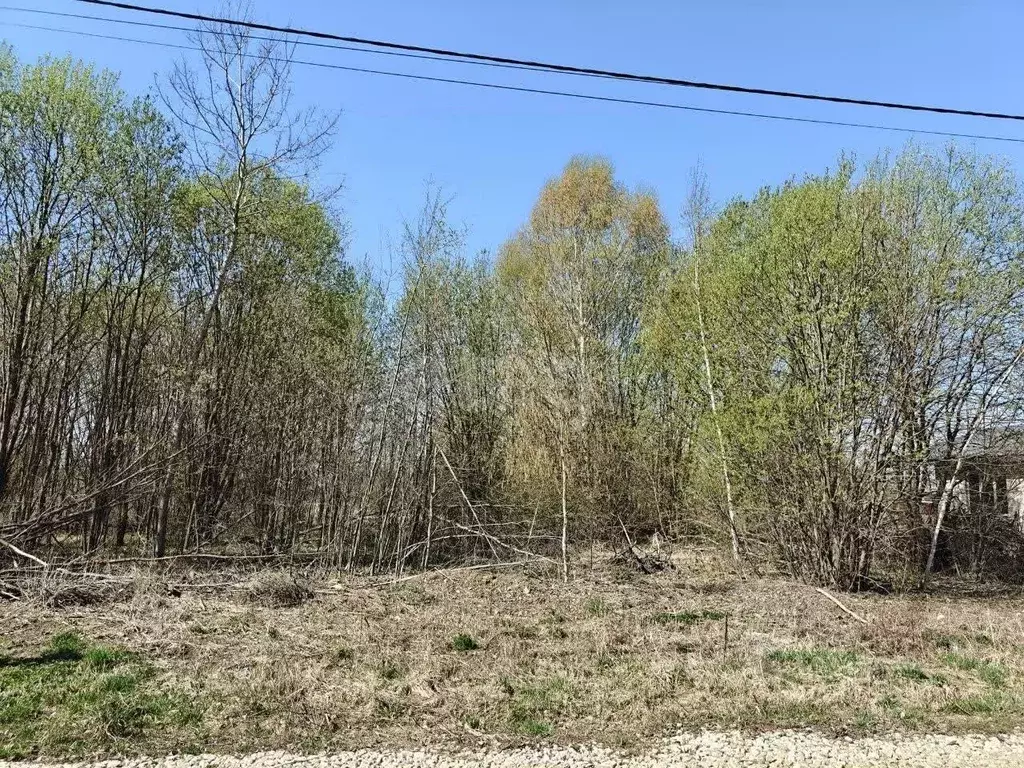 Участок в Владимирская область, Муром с. Ковардицы, Лопатино мкр,  ... - Фото 1