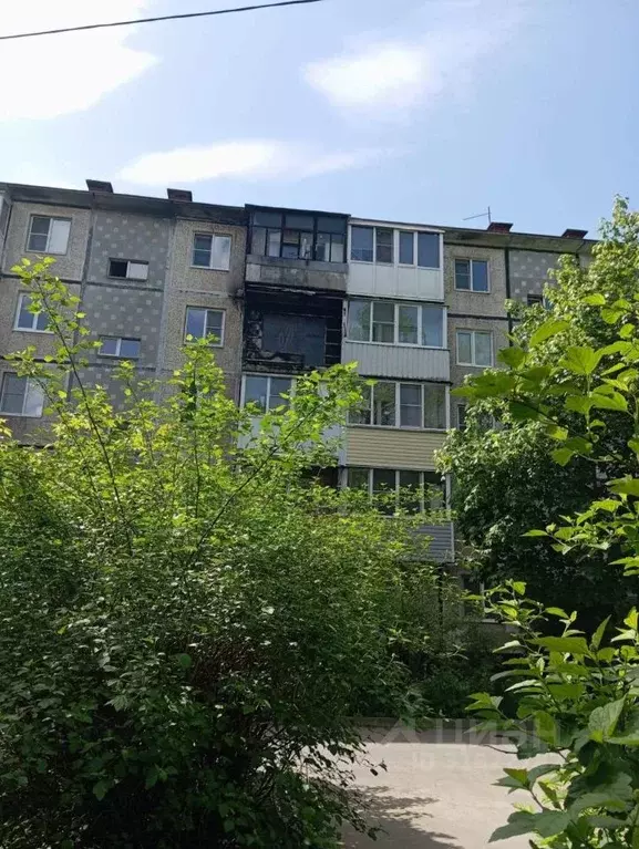 2-к кв. Ленинградская область, Кириши просп. Ленина, 17А (44.4 м) - Фото 0