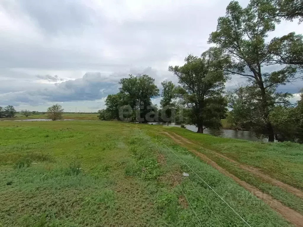 Участок в Оренбургская область, Оренбург городской округ, пос. ... - Фото 1