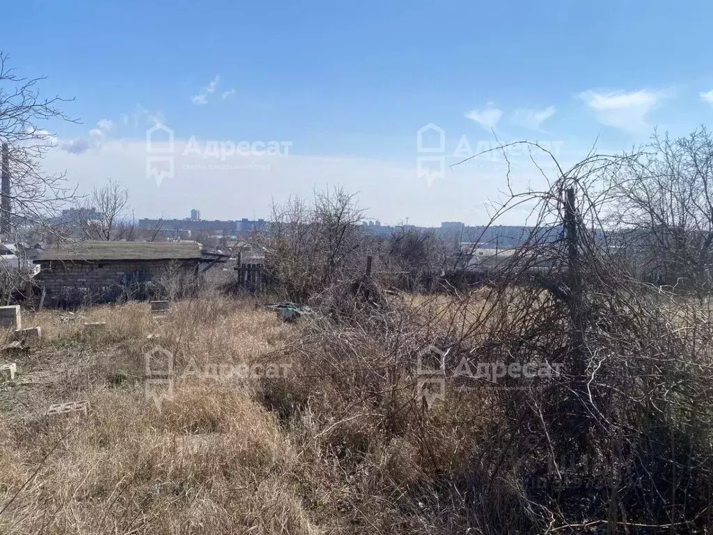 Участок в Волгоградская область, Волгоград Мичуринец СНТ, № 5 массив, ... - Фото 0