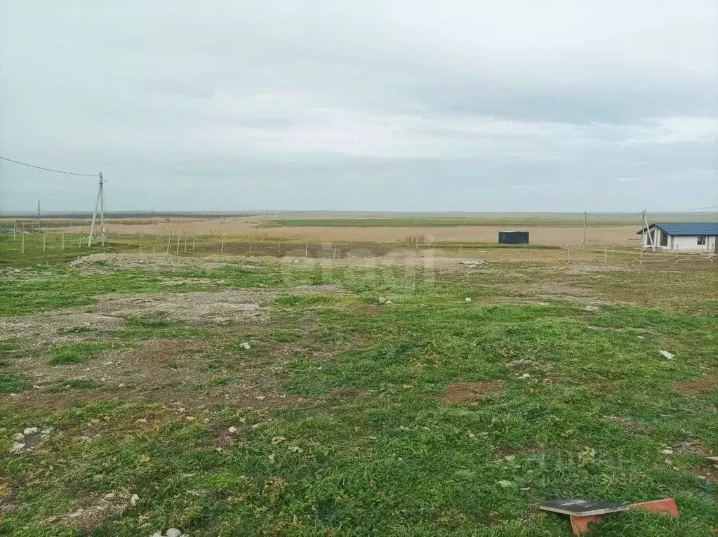 Участок в Крым, Феодосия Колос СПК, ул. Камышовая (6.0 сот.) - Фото 1