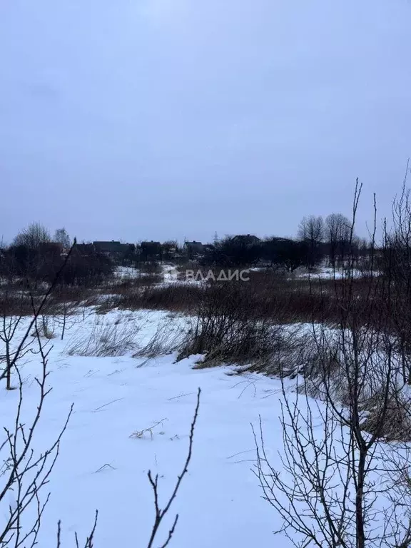 Участок в Калининградская область, Приморск ул. Инженерная (10.0 сот.) - Фото 2