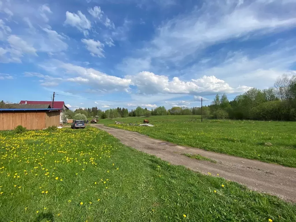 Участок в Псковская область, Печорский район, д. Декшино  (25.0 сот.) - Фото 0