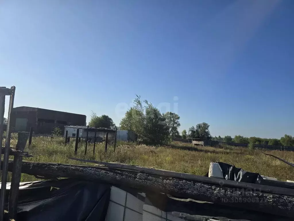 Участок в Брянская область, Карачевское городское поселение, д. Мокрое ... - Фото 1