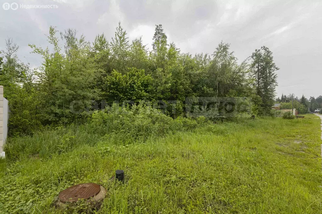 Участок в деревня Сивково, КП Зелёная роща-1 (24 м) - Фото 2