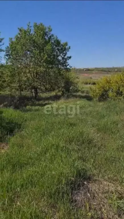 Участок в Волгоградская область, Волгоград ул. Вербная (8.8 сот.) - Фото 0