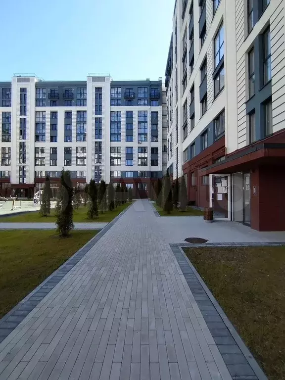 1-к. квартира, 31,3 м, 6/9 эт. - Фото 0