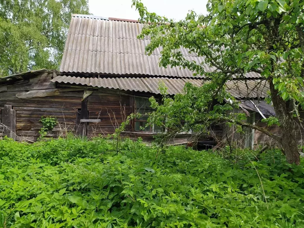 Участок в Владимирская область, Александровский район, ... - Фото 1