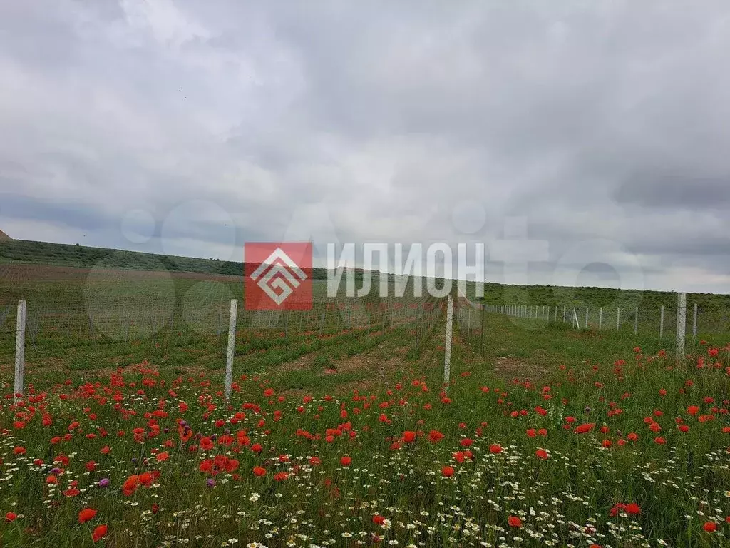Участок 19,8 га (СНТ, ДНП) - Фото 0