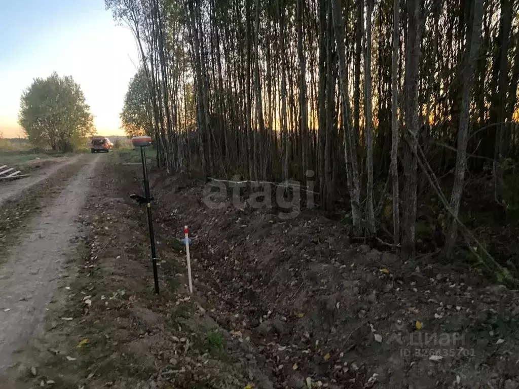 Участок в Вологодская область, пос. Непотягово, д. Кудрино ул. ... - Фото 1