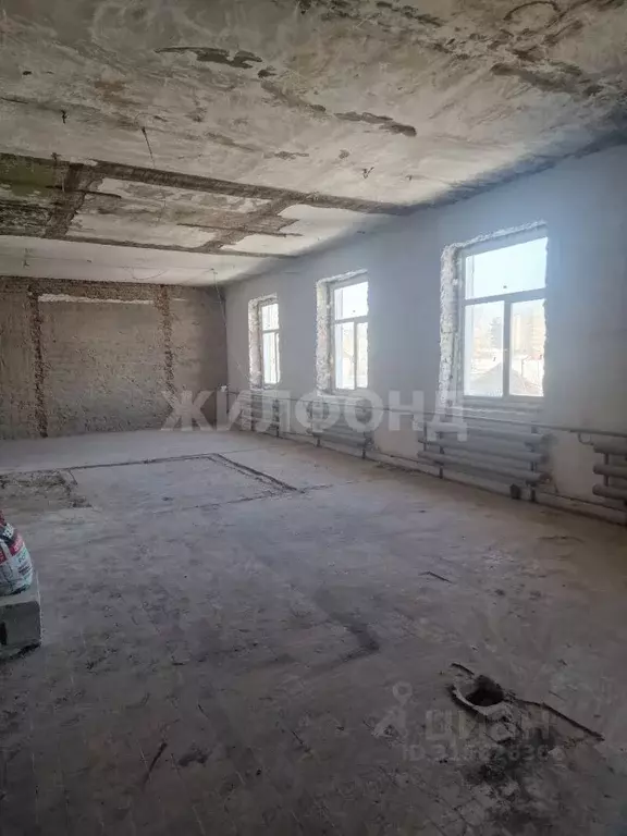 Помещение свободного назначения в Новосибирская область, Новосибирск ... - Фото 0