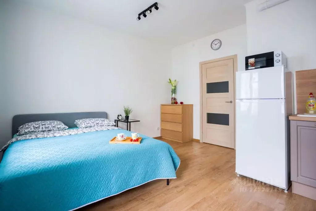 Студия Санкт-Петербург ул. Плесецкая, 20к1 (27.0 м) - Фото 2