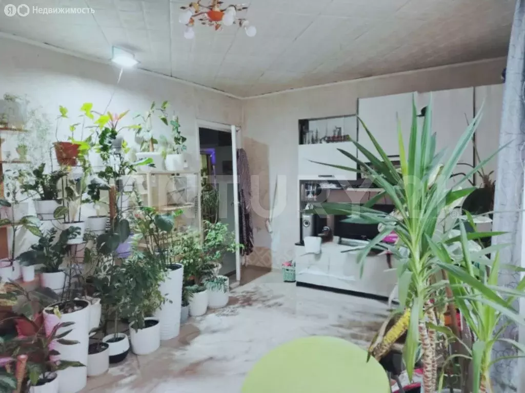 Дом в Первомайский район, село Берёзовка, Центральная улица, 31 (84.4 ... - Фото 1