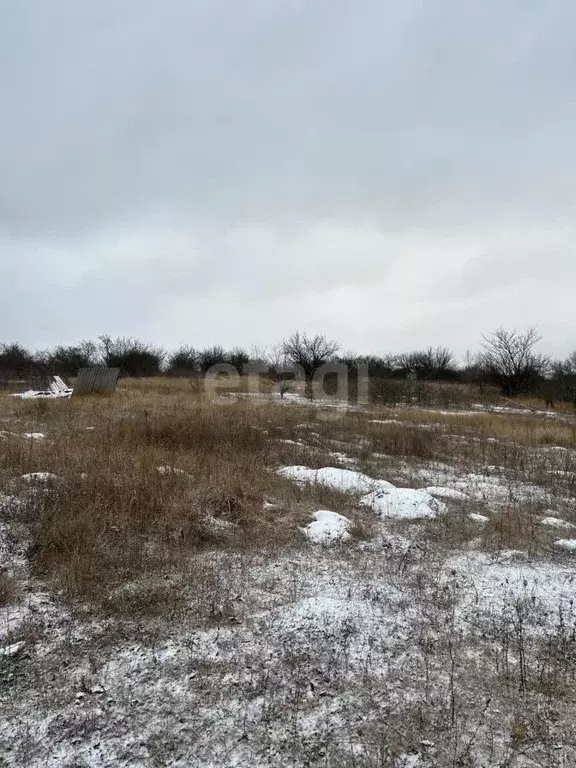 Участок в Белгородская область, Вейделевка городское поселение, ... - Фото 0