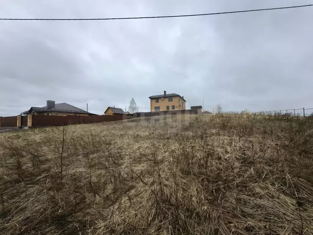 Участок в Смоленская область, Смоленский муниципальный округ, д. Новые ... - Фото 1
