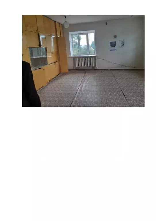 Помещение свободного назначения в Башкортостан, с. Буздяк ул. Кирова, ... - Фото 2