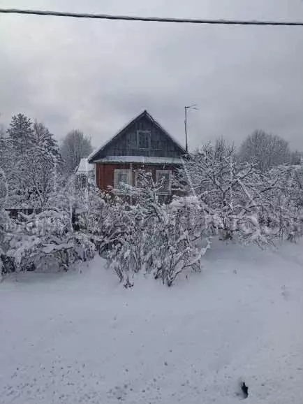 Дом 30 м на участке 16 сот. - Фото 0