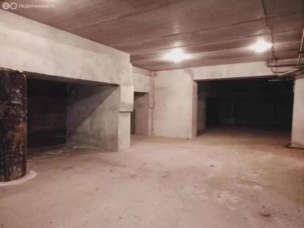 Помещение свободного назначения (317 м) - Фото 1