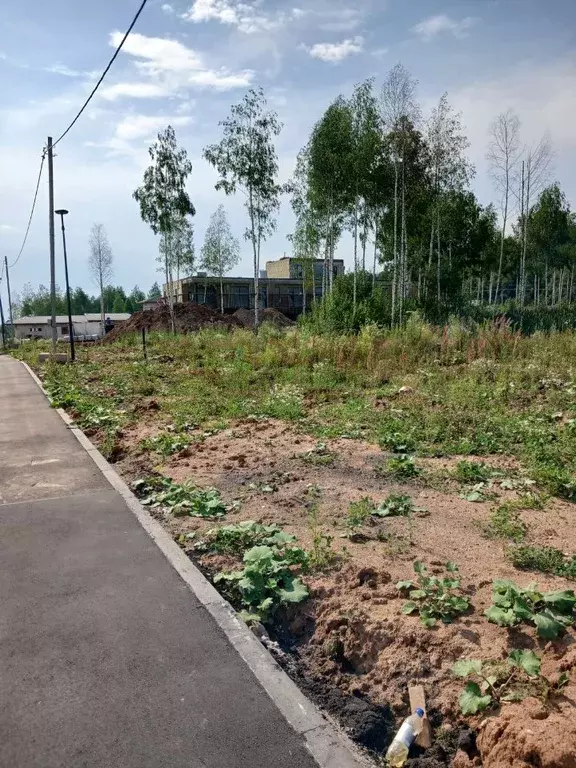 Участок в Московская область, Одинцовский городской округ, д. Синьково ... - Фото 2