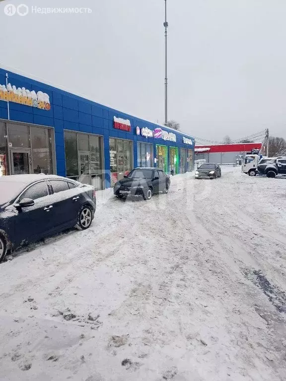 Помещение свободного назначения (32 м) - Фото 2