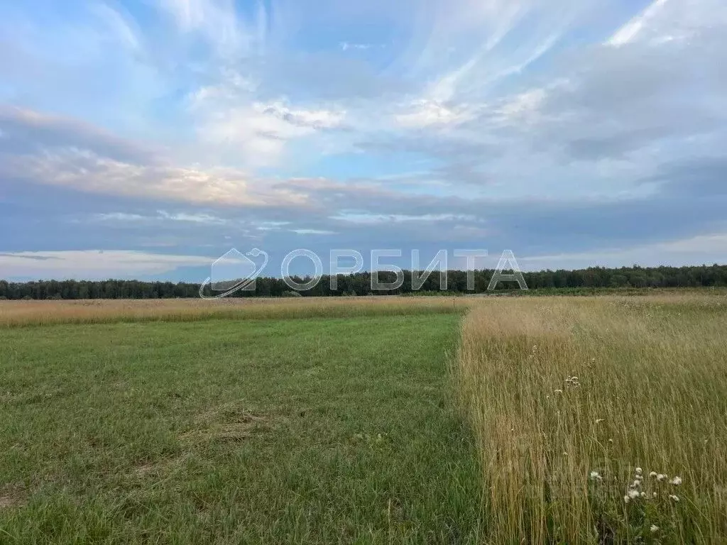 Участок в Тюменская область, Тюменский район, Новокаменский кп ул. ... - Фото 1