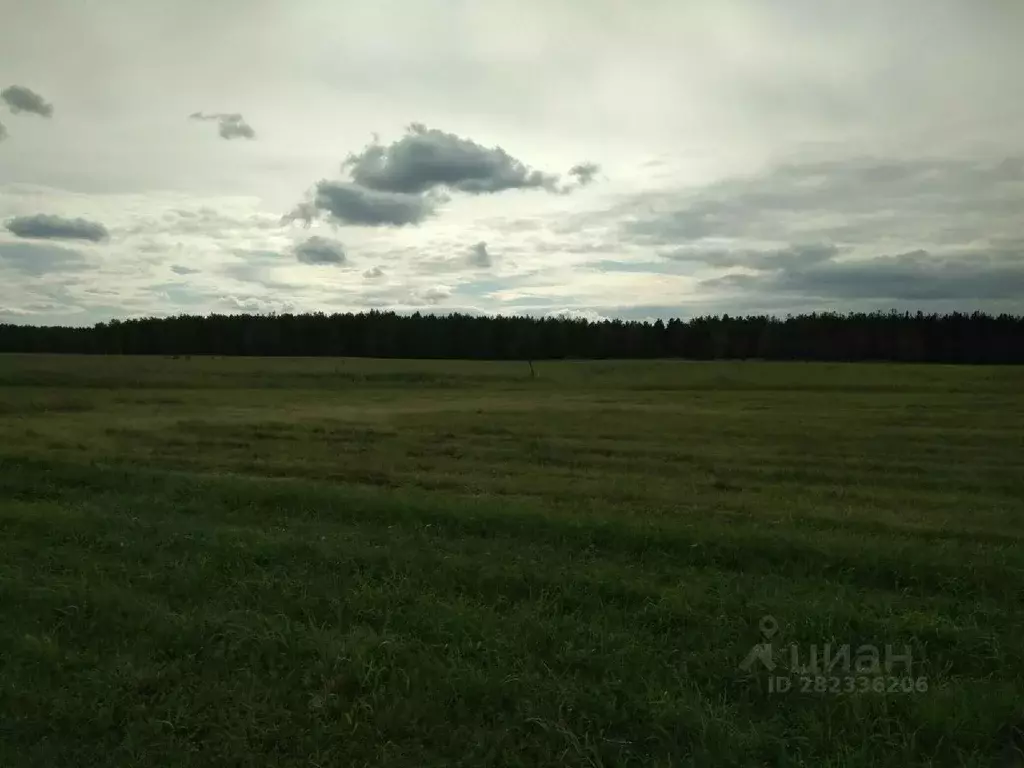 Участок в Свердловская область, Богданович муниципальный округ, с. ... - Фото 0