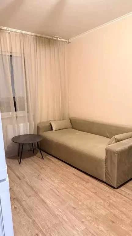 Студия Московская область, Солнечногорск городской округ, Голубое пгт ... - Фото 2