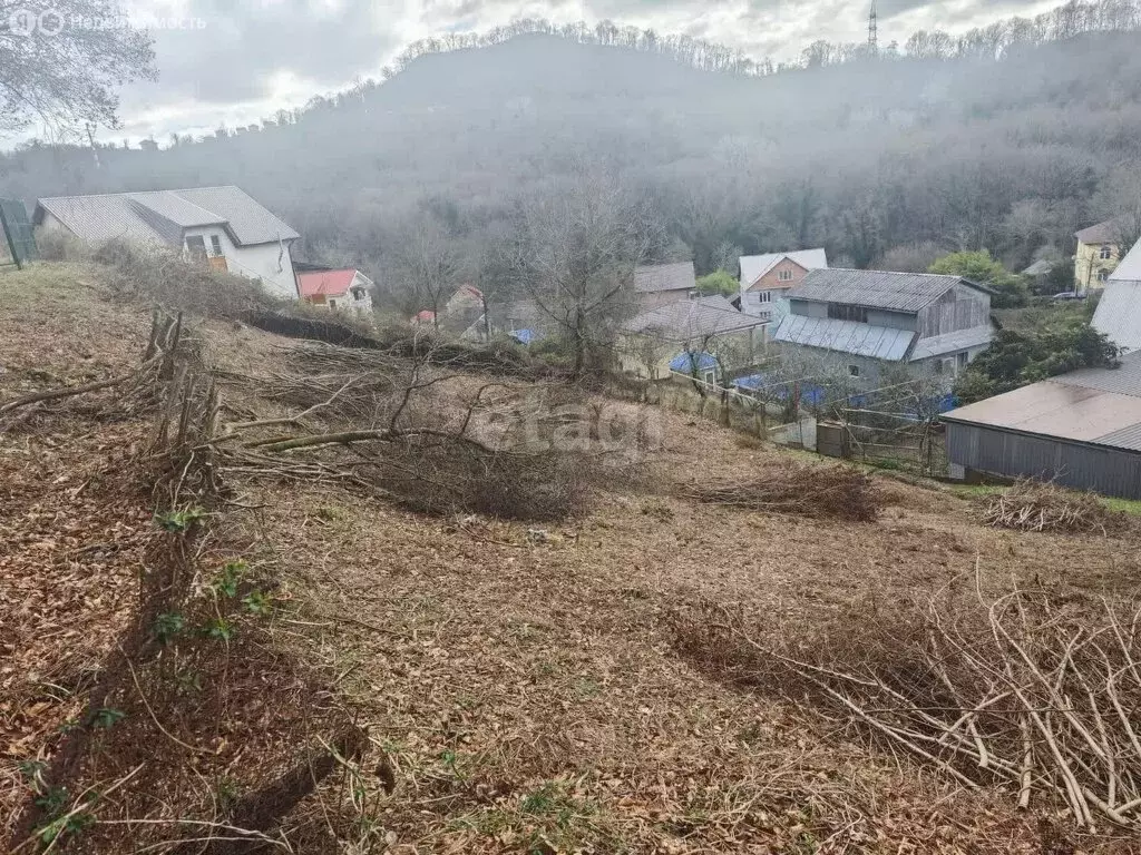 Участок в село Орёл-Изумруд, СНТ Лесовод (8 м) - Фото 1