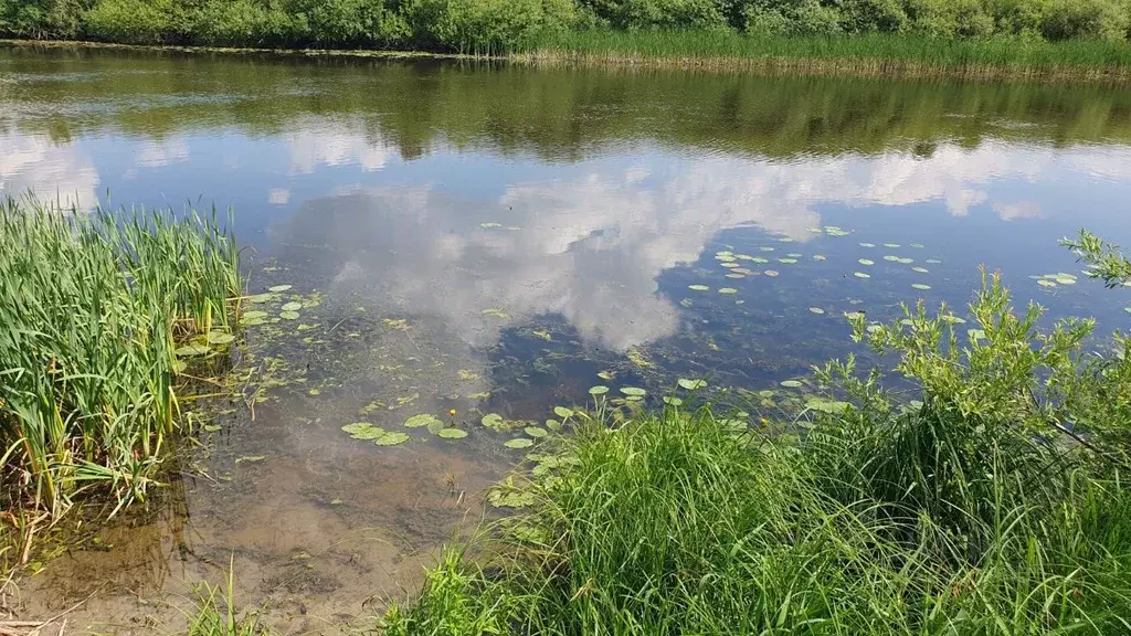 Участок в Калининградская область, Гвардейск  (35.0 сот.) - Фото 1